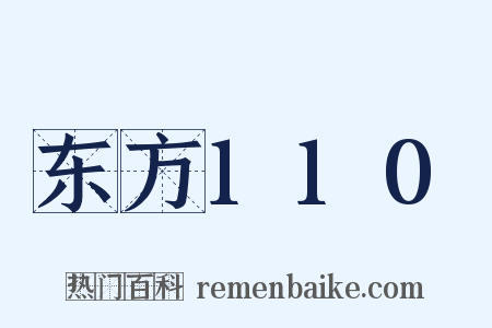 东方110是什么意思的图片
